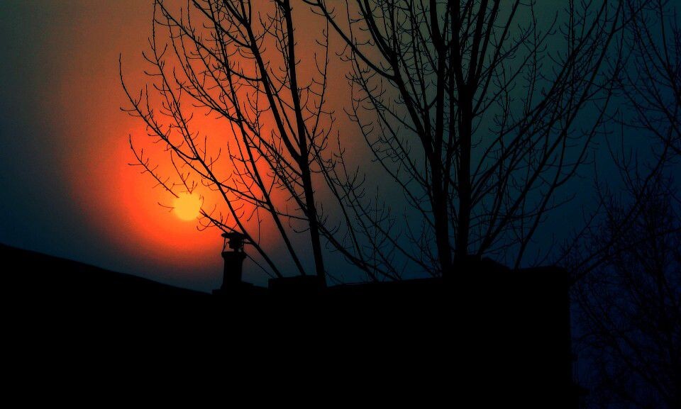 IMG_4550-1<br />
