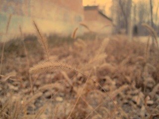 IMG_4551-2