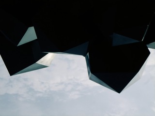 1000088446