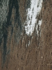 1000108303