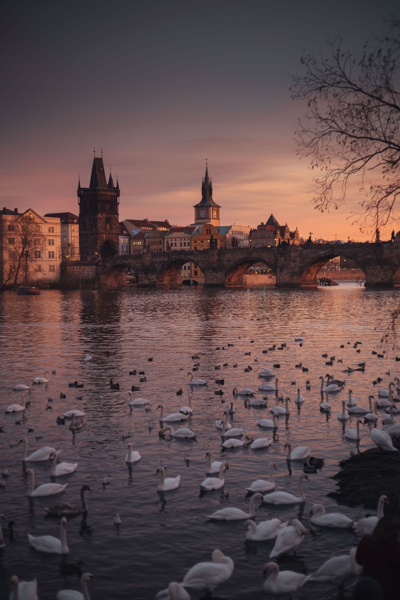 布拉格黄昏时分的伏尔塔瓦河畔
