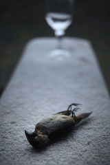 醉生梦死