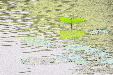001