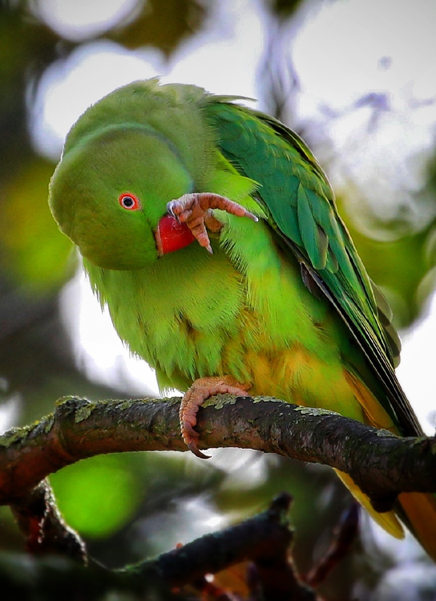 爱美!是物性的绽放