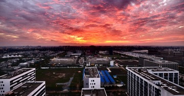 DSCF5121a