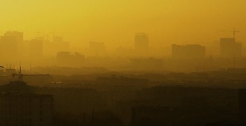 _DSC3842