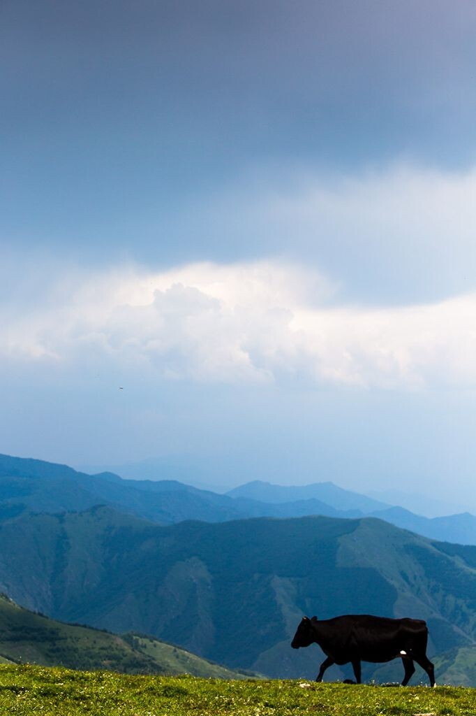 五台山北台风光