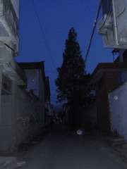 1C57BF6F-0557-4072-8D23-A080CB39F501/L0/001
