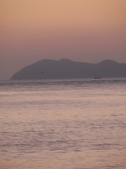 025836DD-D46C-4992-88F1-0E3553C610DE/L0/001