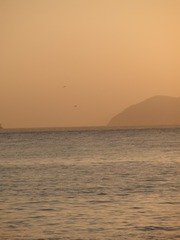 E83D5794-43E1-4456-909F-08291B25C902/L0/001
