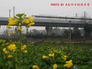 CRH6A-4002驶出安德站3