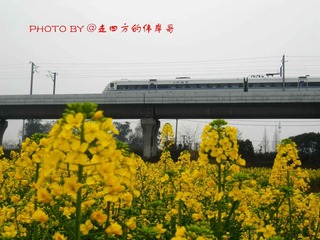 安德段2