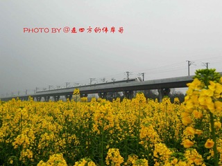 安德段3