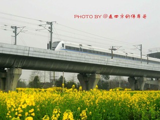 安德段4