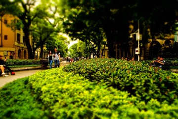 DSC00558-673