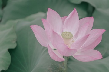DSCF1150