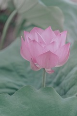 DSCF1139