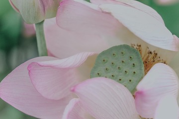 DSCF1122
