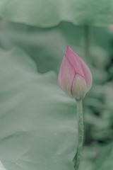 DSCF1118