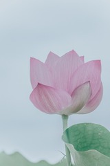 DSCF1155