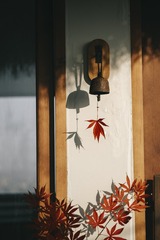 9B0965DA-400B-490C-A4F4-4E8C39ACAA9C/L0/001