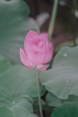 DSCF1152