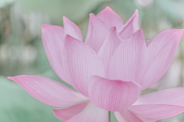DSCF1084