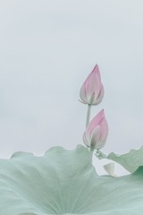 DSCF1156