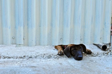 DSC_2833.jpg