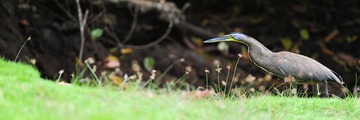 costarica (20)