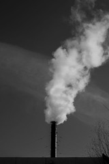 _DSF4258-3