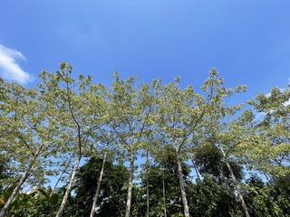 D8FE6F27-2F99-4929-9E13-C236B19FA245/L0/001