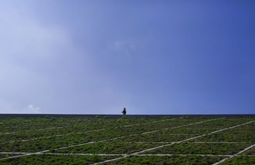 _DSC1240