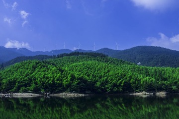_DSC1259