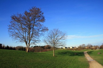 Uni Trier, Germany