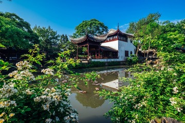 _DSC7340