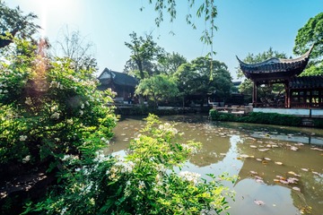 _DSC7344