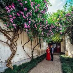 _DSC7374-Pano