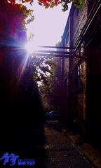 2013731072603_