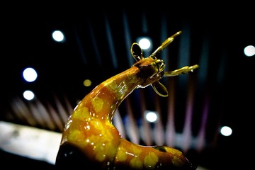 20140606-DSC04303