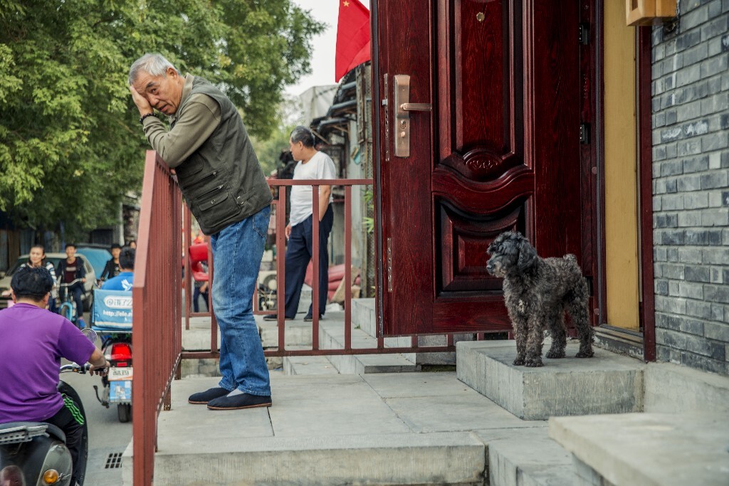 南锣鼓巷附近一胡同老人与狗