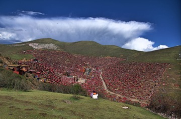 IMGP6025_HZP