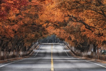 一条路