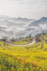 岭中晨雾