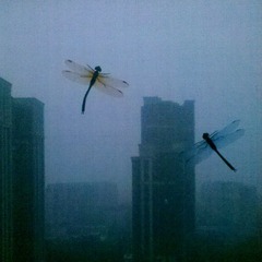 9C8341FC-7DDA-4DA3-BA8A-66BC5DFBD481/L0/001