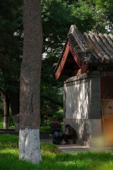你还好吗？