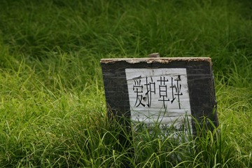 爱护草坪——看仔细啦！绿地X施农药