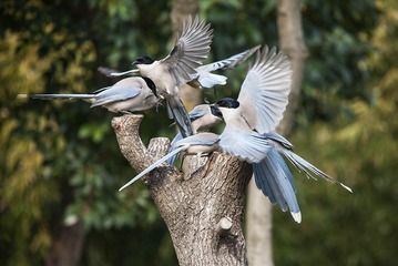 _MG_0046a