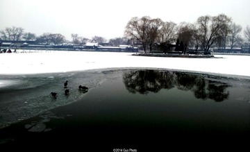 20140207_1644381