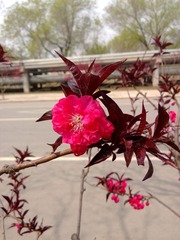 WP_20130424_005